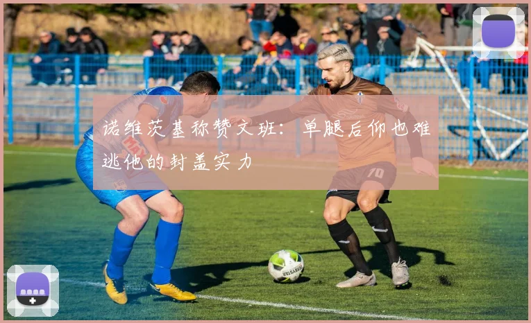 诺维茨基称赞文班：单腿后仰也难逃他的封盖实力