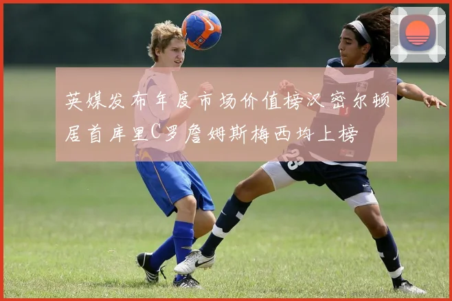英媒发布年度市场价值榜汉密尔顿居首库里C罗詹姆斯梅西均上榜